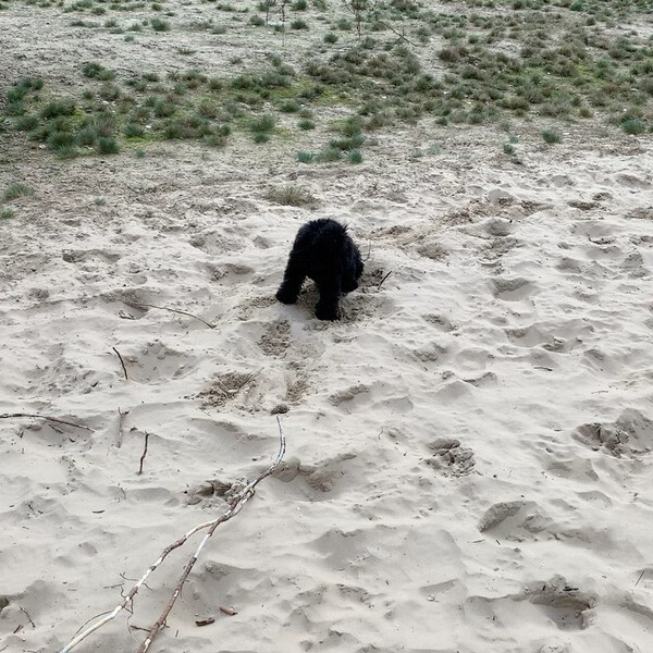 vor dem ers­ten schnee erst­mal der ers­te sand.