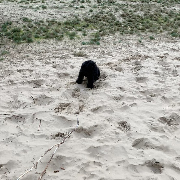 vor dem ers&shy;ten schnee erst&shy;mal der ers&shy;te sand.