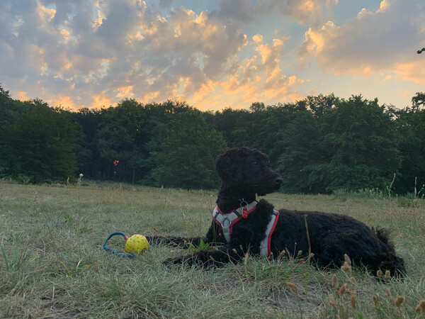 heu­te früh ge­gen 5:30 h, im­mer noch weit über 20 grad.