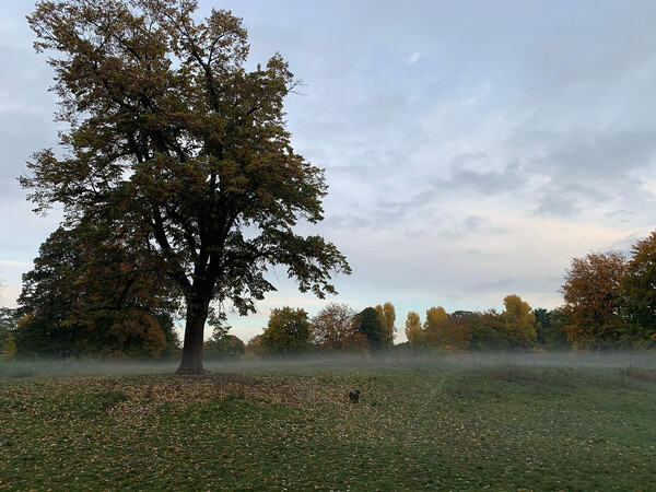 schon ganz schön mor­gens in den reh­ber­gen.