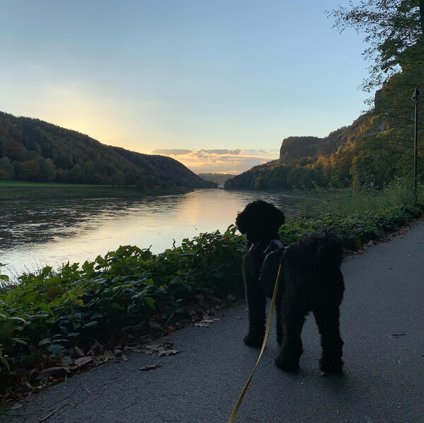 #fri&shy;da und ein son&shy;nen&shy;un&shy;ter&shy;gang an der elbe.