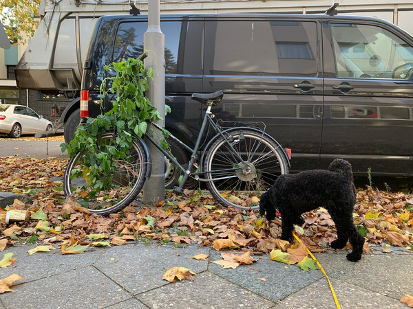 wächst gut.