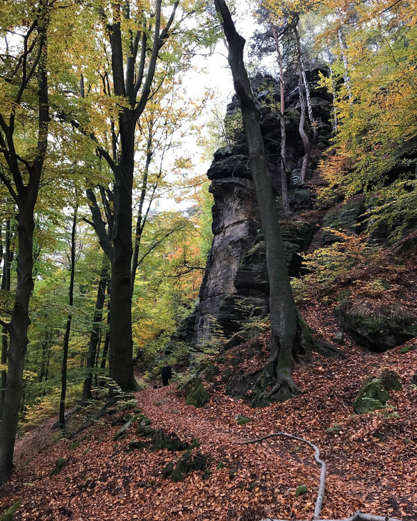 vor ner wo­che in der säch­si­schen schweiz