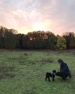 Photo by felix schwenzel in Volkspark Rehberge. Keine Fotobeschreibung verfügbar..