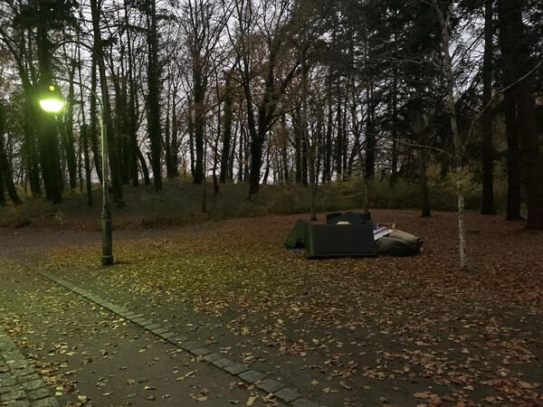 da hat sich je&shy;mand die m&uuml;he ge&shy;macht, sein wohn&shy;zim&shy;mer mit&shy;ten in die reh&shy;ber&shy;ge zu fah&shy;ren.