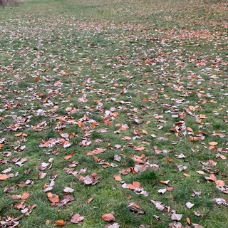 das platz aus der bewegung haben wir jetzt fast 2 monate jeden morgen geübt. klappt auch schon ganz gut. (das …