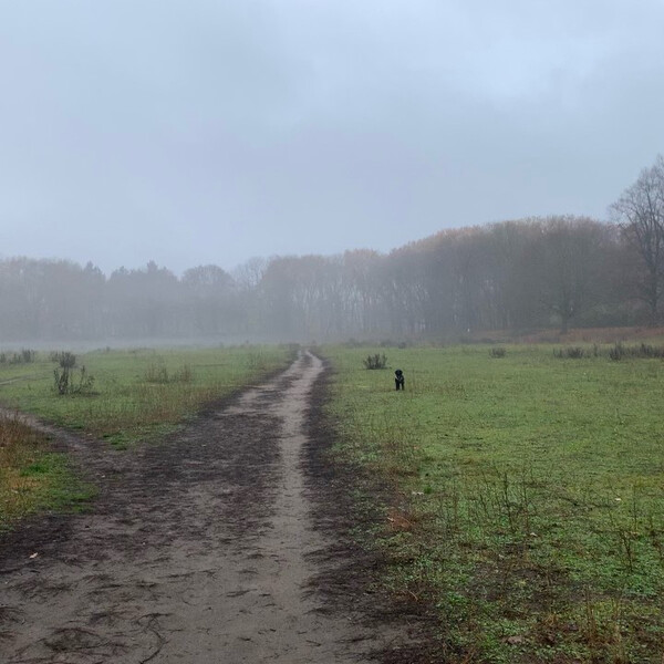 noch lan­ge nicht per­fekt, vor al­lem wenn’s mor­gens über­all glit­zert, aber das sitz und platz auf di­stanz sit­zen …