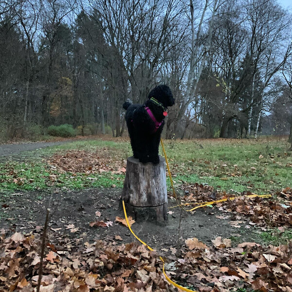 heu­te früh war es warm und hell.