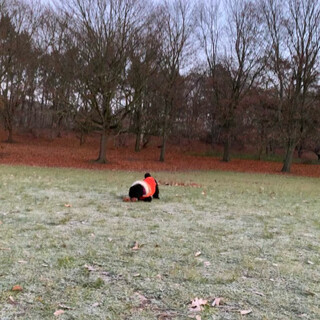 #frida ihr liebstes spielzeug