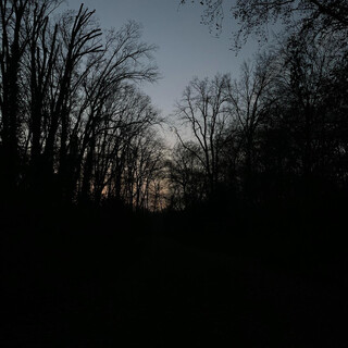 Photo by felix schwenzel in Volkspark Rehberge. Keine Fotobeschreibung verfügbar..