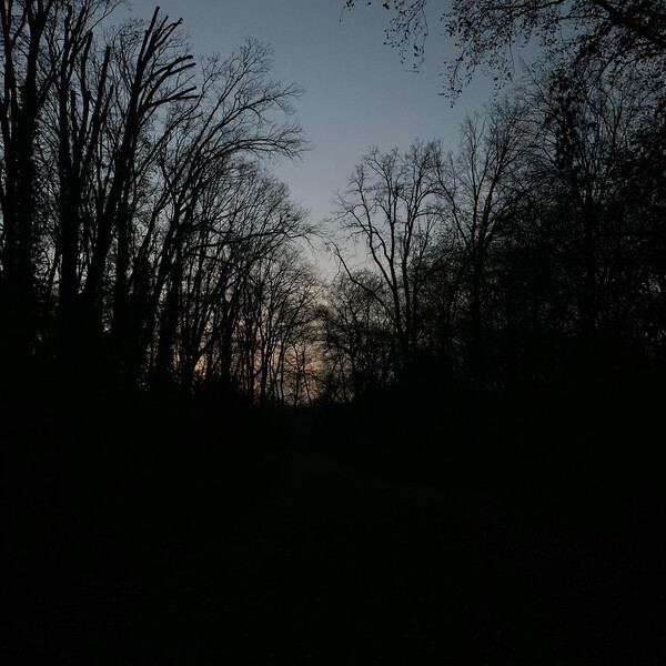 auf dem bild ver&shy;steckt sich eine schar&shy;fe mond&shy;si&shy;chel.
