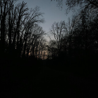 Photo by felix schwenzel in Volkspark Rehberge. Keine Fotobeschreibung verfügbar..