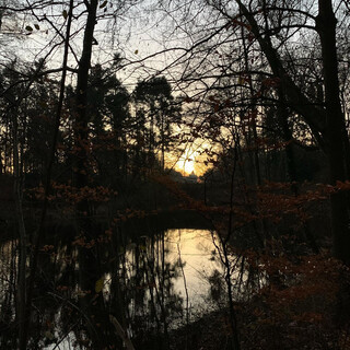 Photo by felix schwenzel in Volkspark Rehberge. Keine Fotobeschreibung verfügbar..