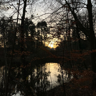 Photo by felix schwenzel in Volkspark Rehberge. Keine Fotobeschreibung verfügbar..