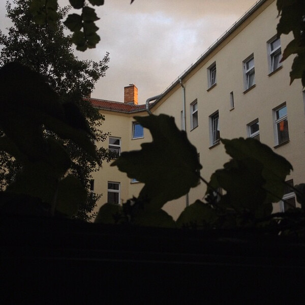 blick aus mei&shy;nem fens&shy;ter