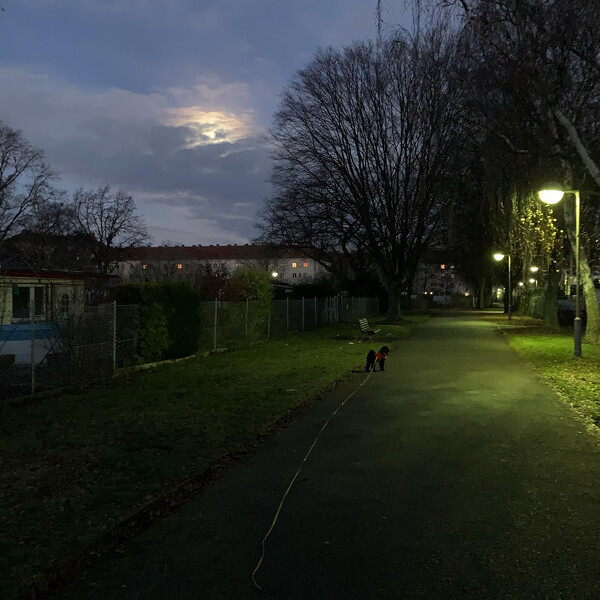 heu­te hell­mond.