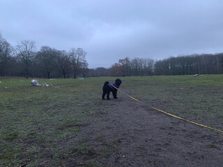 Photo by felix schwenzel in Volkspark Rehberge. Keine Fotobeschreibung verfügbar..