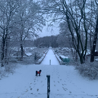 Photo by felix schwenzel on January 30, 2021. Keine Fotobeschreibung verfügbar..