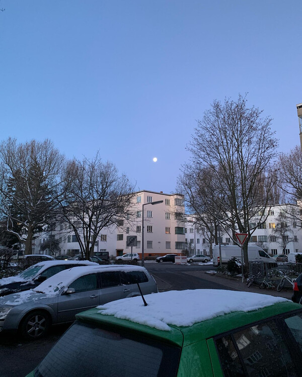 -6 grad