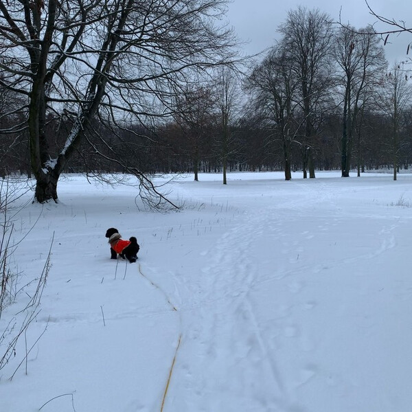 fri&shy;da freut sich sehr &uuml;ber den schnee.