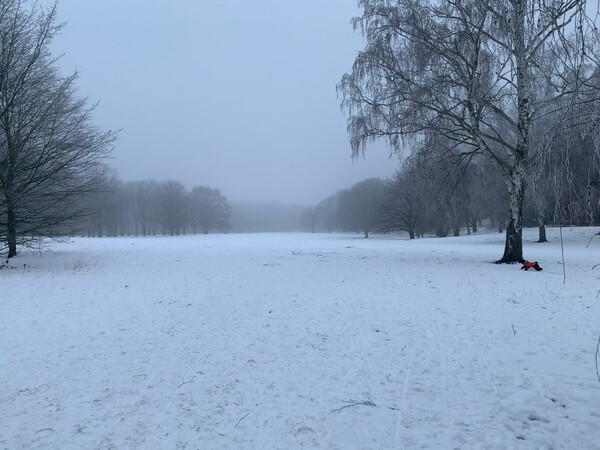 die­si­ger mor­gen
