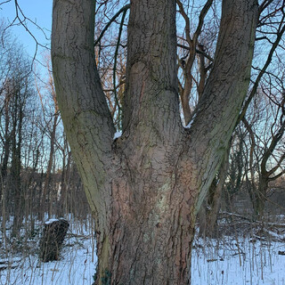 Photo by felix schwenzel on February 14, 2021. Keine Fotobeschreibung verfügbar..