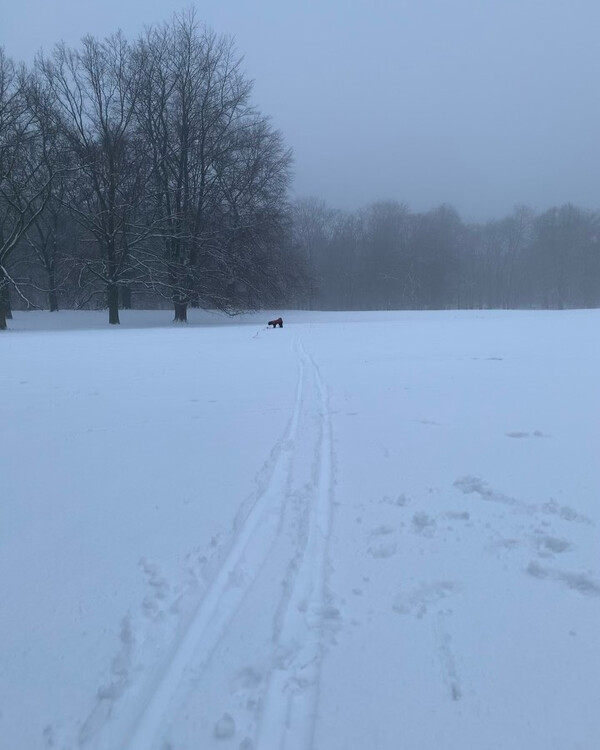 frisch&shy;schneee
