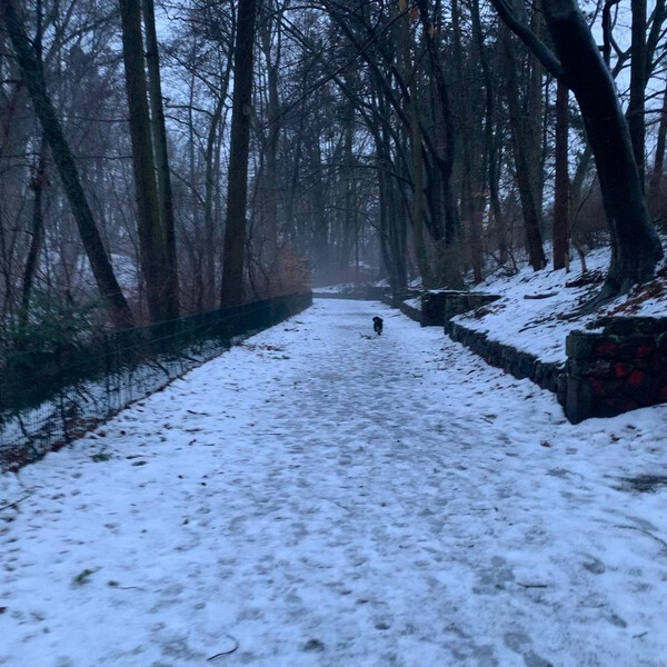 neb­lig-mat­schig heu­te