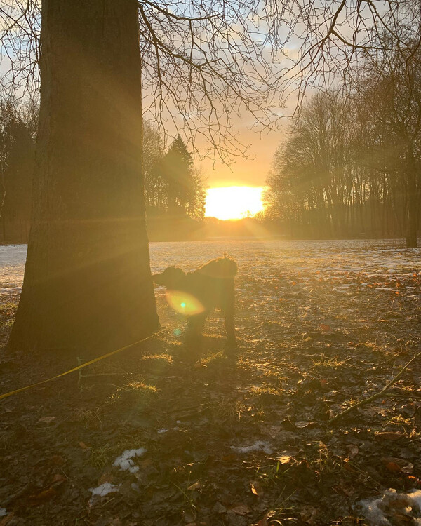 warm, son&shy;nig und al&shy;les voll mit schlamm.