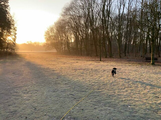 morgenspaziergang am 28.02.2021