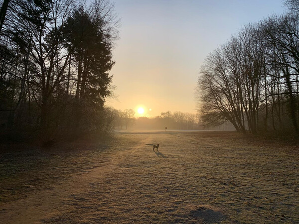 morgenspaziergang am 28.02.2021