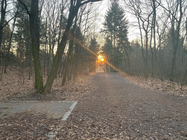frisch heu­te