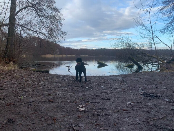 summ­ter see heu­te nach­mit­tag