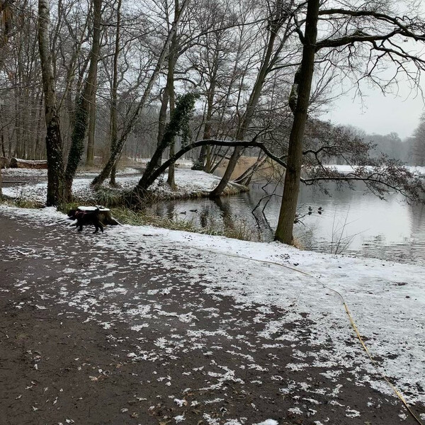 heu­te früh 10 ki­lo­me­ter. war ge­nau­so schön lang­wei­lig wie die vi­de­os.
