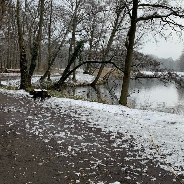 heu&shy;te fr&uuml;h 10 ki&shy;lo&shy;me&shy;ter. war ge&shy;nau&shy;so sch&ouml;n lang&shy;wei&shy;lig wie die vi&shy;de&shy;os.