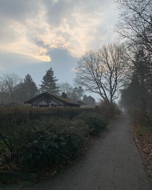 Photo by felix schwenzel in Volkspark Rehberge. Keine Fotobeschreibung verfügbar..