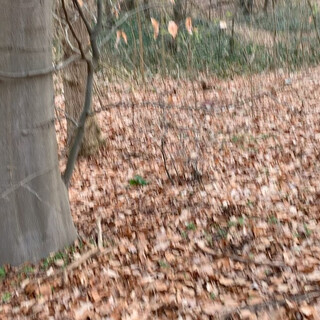 sie läuft zwar sehr große bögen beim suchen, aber auch ich glaub sie wusste von anfang an wo der beutel lag