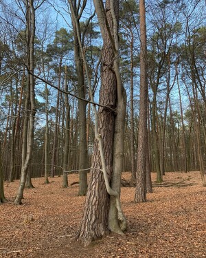 Photo by felix schwenzel in Summter See. Keine Fotobeschreibung verfügbar..