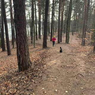 es gibt so viele schöne wälder und seen um berlin n