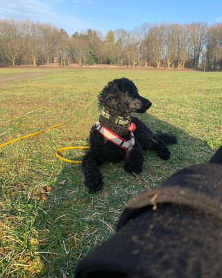 Photo by felix schwenzel in Volkspark Rehberge. Keine Fotobeschreibung verfügbar..