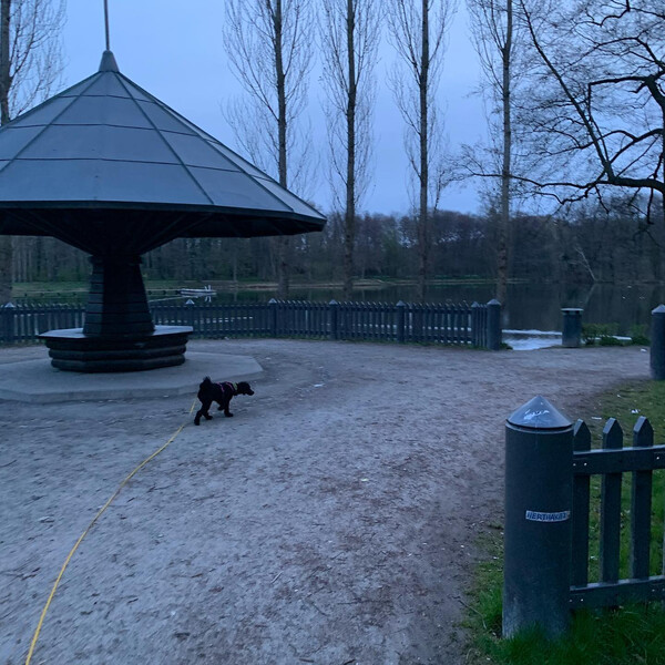 heu&shy;te fr&uuml;h mit dem teil&shy;au&shy;to zum volks&shy;park jung&shy;fern&shy;hei&shy;de und dann 8 ki&shy;lo&shy;me&shy;ter nach hau&shy;se.