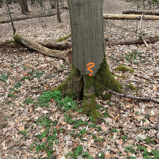 Photo by felix schwenzel on April 18, 2021. Keine Fotobeschreibung verfügbar..