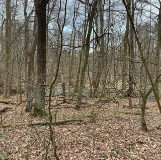 Photo by felix schwenzel on April 18, 2021. Keine Fotobeschreibung verfügbar..