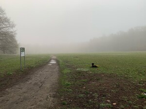 Photo by felix schwenzel in Volkspark Rehberge. Keine Fotobeschreibung verfügbar..