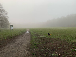 Photo by felix schwenzel in Volkspark Rehberge. Keine Fotobeschreibung verfügbar..