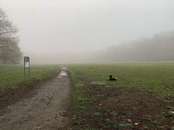 fri­da ist zur zeit völ­lig über­dreht und rennt zum teil so­gar wie­der flie­gen­den vö­geln hin­ter­her. die krei­se …