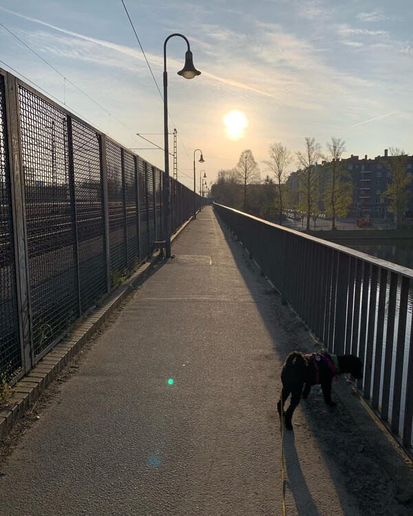 heu­te früh wie­der am schloss ge­we­sen. fast so schön wie die reh­ber­ge.