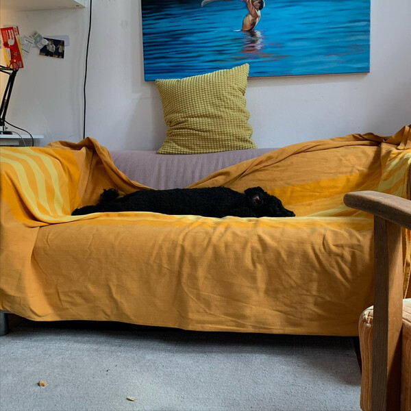 un­ser hund ist zwar klein, aber ver­dammt lang.