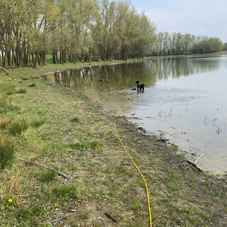 fri&shy;da scheint nicht &bdquo;ins was&shy;ser&ldquo; zu ge&shy;hen, son&shy;dern das eher als ei&shy;nen &uuml;ber&shy;gang zu se&shy;hen wie von asphalt auf gras.
