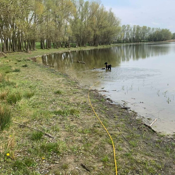 fri&shy;da scheint nicht &bdquo;ins was&shy;ser&ldquo; zu ge&shy;hen, son&shy;dern das eher als ei&shy;nen &uuml;ber&shy;gang zu se&shy;hen wie von asphalt auf gras.